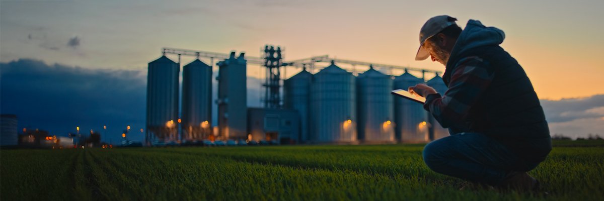 IP- en optische convergentie: architectuur voor hoogwaardige breedbandprestaties