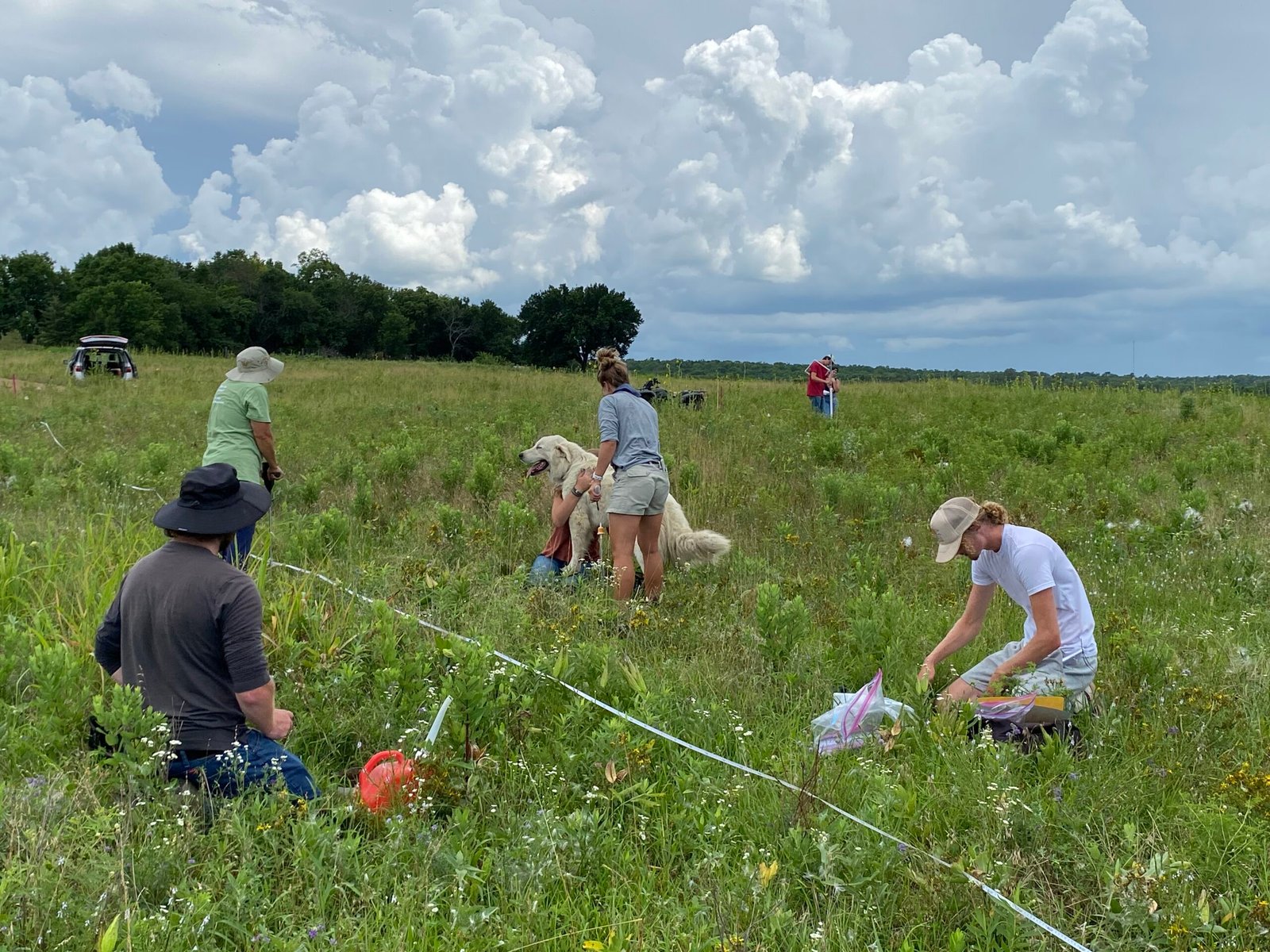 Boeren die in een veld werken.