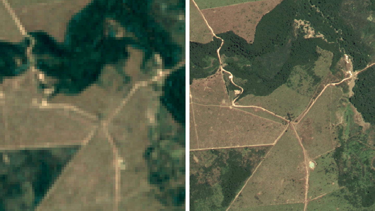 Google lanceert satellietkaart ter bescherming Braziliaanse bossen